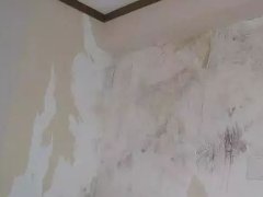 J9国际站备用【唯一】官方网站
