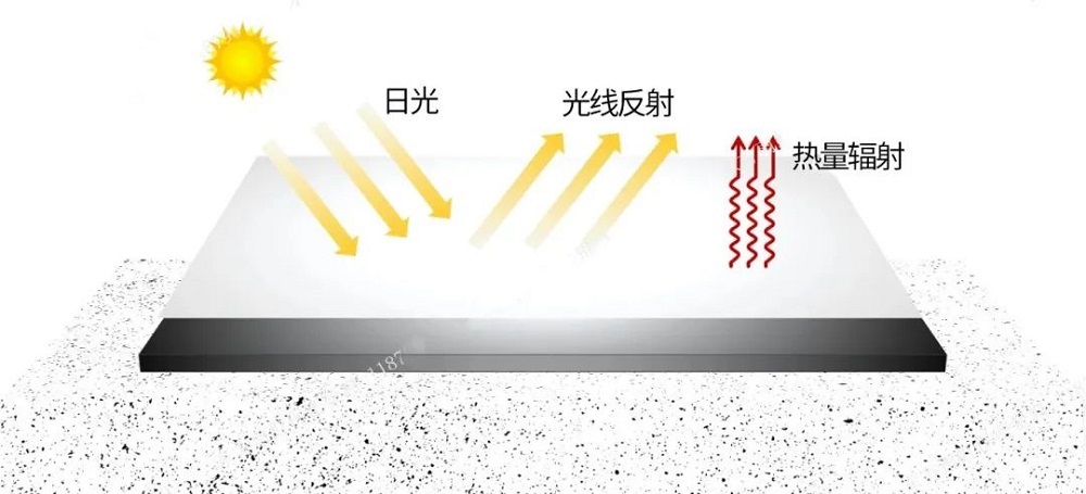 1_241015170117_1 J9国际站备用【唯一】官方网站